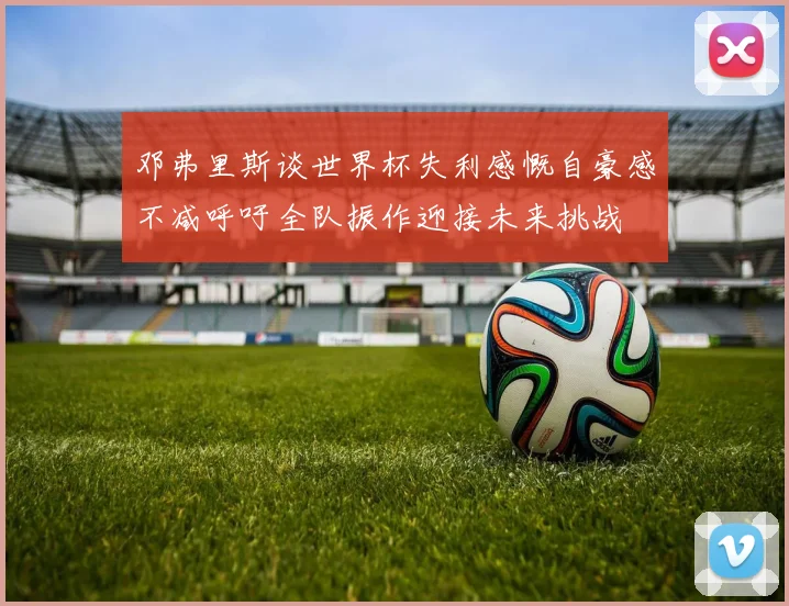 邓弗里斯谈世界杯失利感慨自豪感不减呼吁全队振作迎接未来挑战