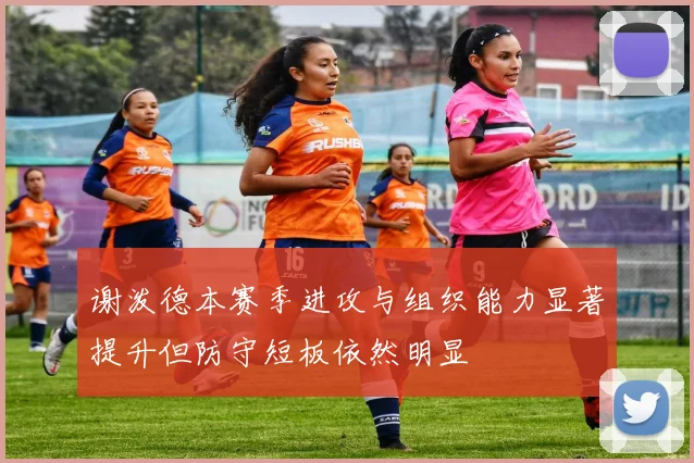 谢泼德本赛季进攻与组织能力显著提升但防守短板依然明显